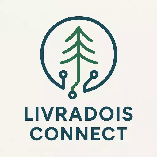 Livradois Connect, entreprise informatique à Ambert (63600)