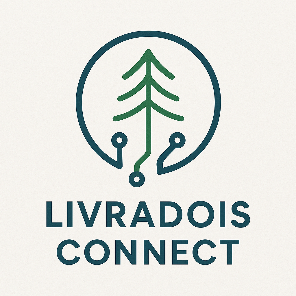 Livradois Connect, entreprise informatique à Ambert (63600)
